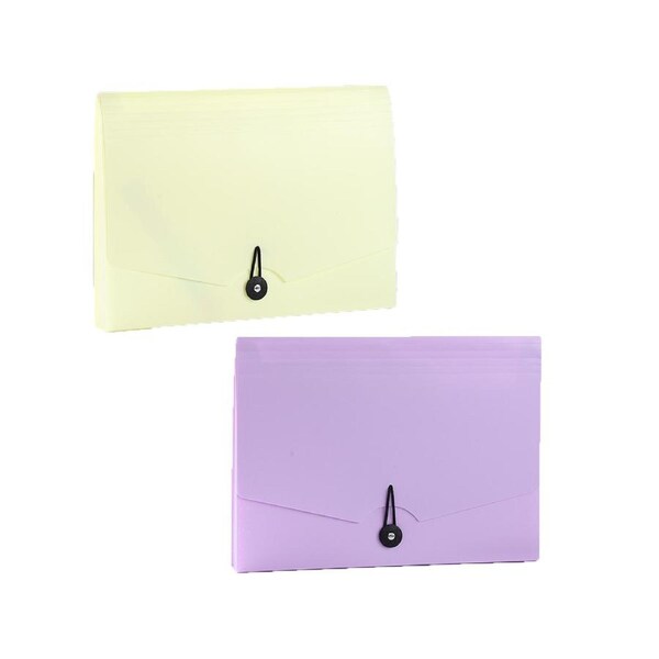 2 Pack File Organizer 12 Pocket Expanding File Folder with Labels Portable Filing Folder