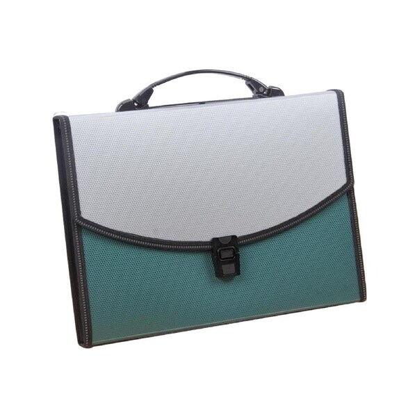 Expansion file, portable pocket expandable file folder with label