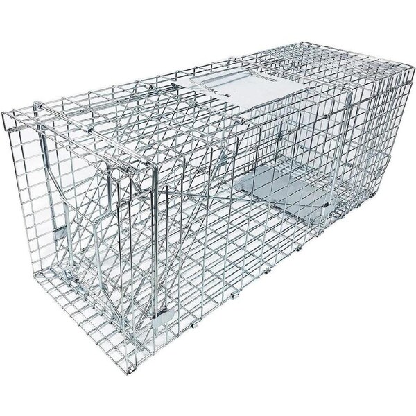 Animal Trap Cage Folding Humane Live Safe Catch Possum Fox Rat Rabbit Bird