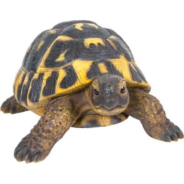 Northcote Pottery Resin Tortoise Herman Statue Garden Display Outdoor Decor