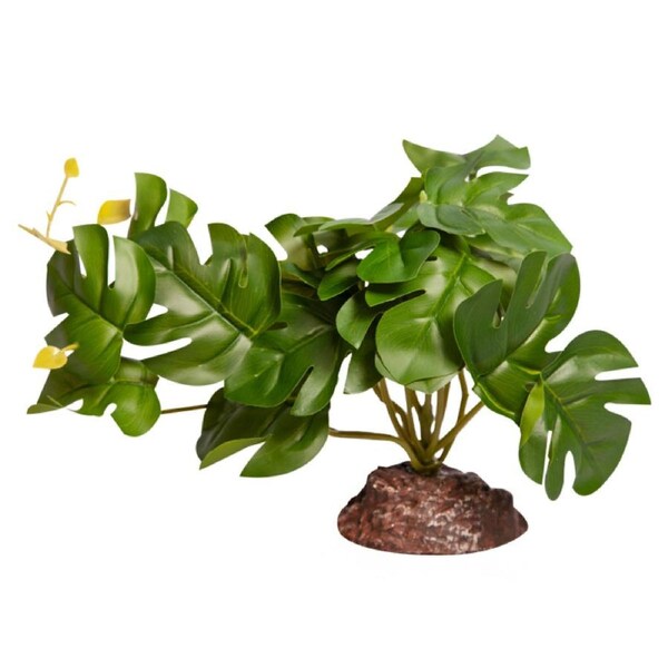 Reptile One Plant Medium Rhaphidophora Green w/ Ceramic Base 17cm (46847)