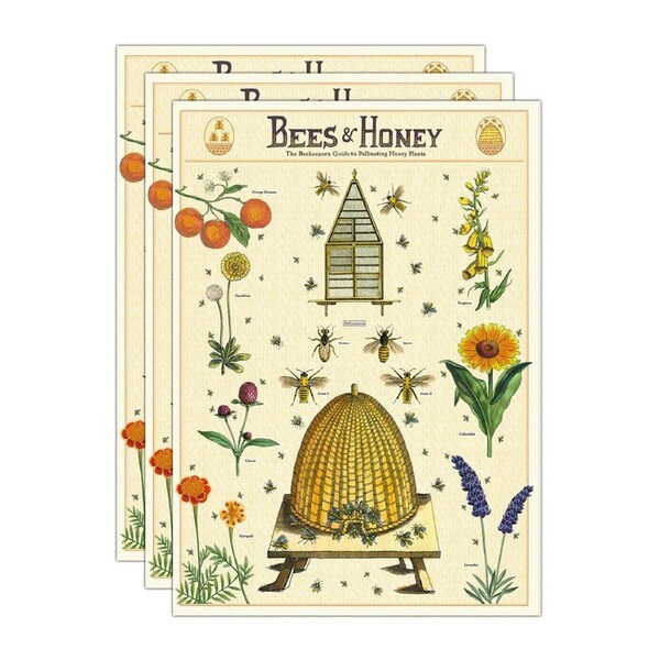 3x Cavallini Paper Poster Prints/Gift Wrap Wall Art Decor 50x70cm Bees & Honey