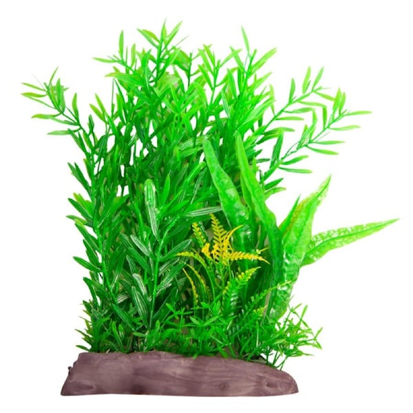 Aqua One Ecoscape Large Wide Ludwigia Brevipes/Java Fern Green (28263)