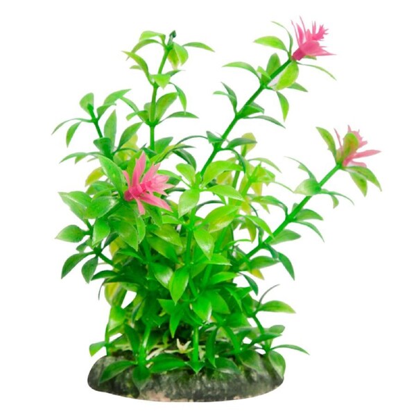 Aqua One Ecoscape Small Ludwigia Green (28250)