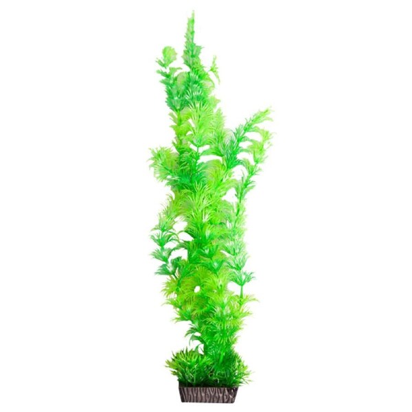 Aqua One Ecoscape Xlarge Ambulia Green (28292)