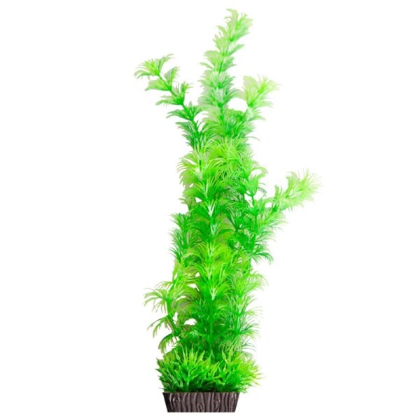 Aqua One Ecoscape Large Ambulia Green (28284)