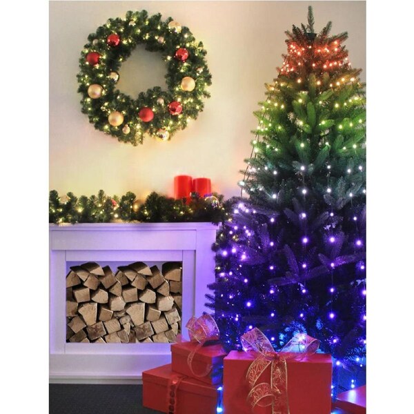 RGB Multicolours 308 LED Fairy Lights