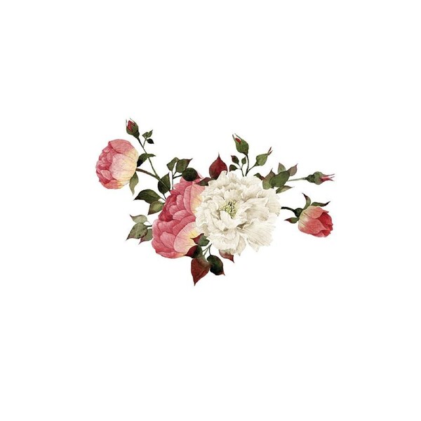Self Adhesive Flower Branch Bird Removable Wall Sticker Background Decal Decor-2