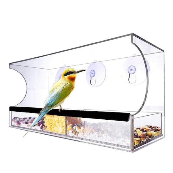 Large All Weather Clear Acrylic Window Bird Feeder With Tray and Drain Holes
