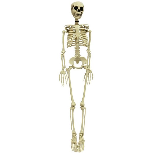 Skeleton 90cm