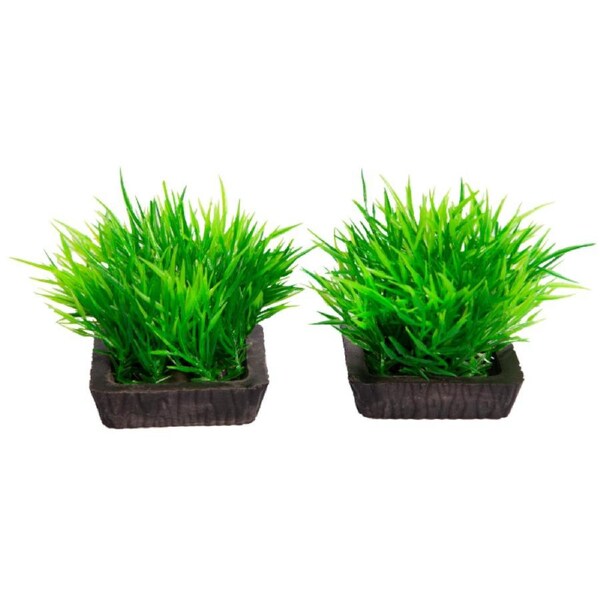 Aqua One Ecoscape Foreground Hair Grass - 2pk Green (28294)