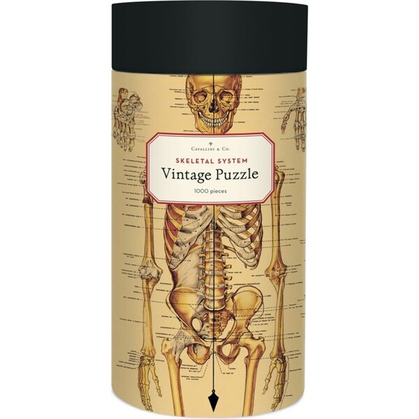 1000pc Cavallini Jigsaw Puzzle Skeletal System 55x70cm Educational Game