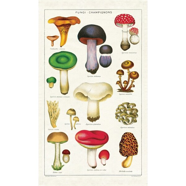 Cavallini Cotton Kitchen Tea Towel Absorbent Dish Cloth 48x80cm Mushrooms
