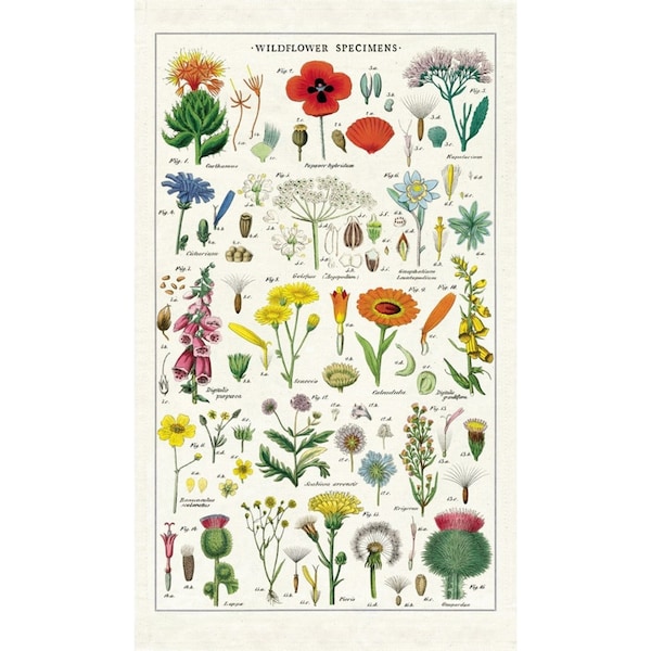 Cavallini Cotton Kitchen Tea Towel Absorbent Dish Cloth 48x80cm Wildflower