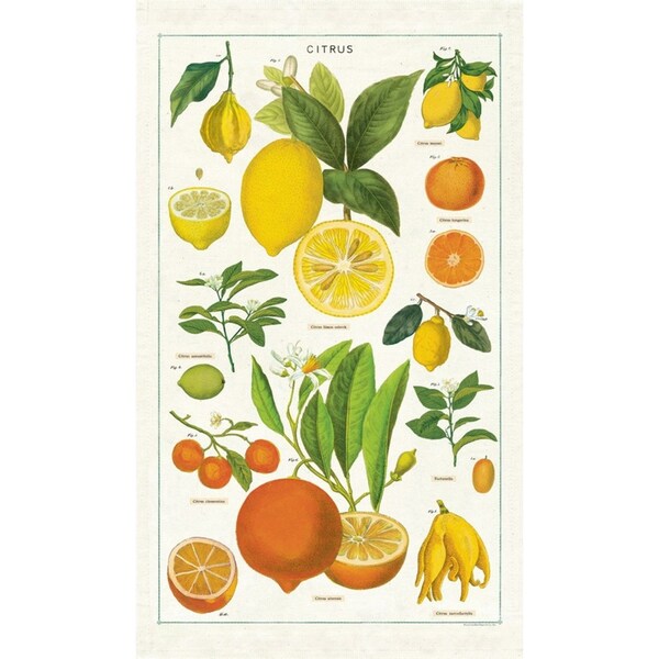 Cavallini Cotton Kitchen Tea Towel Soft Absorbent Dish Cloth 48x80cm Citrus