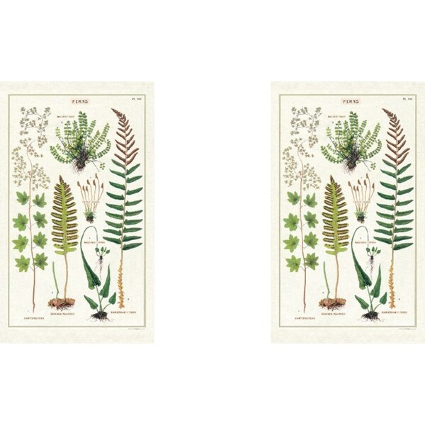 2x Cavallini Cotton Kitchen Tea Towel Soft Absorbent Dish Cloth 48x80cm Ferns