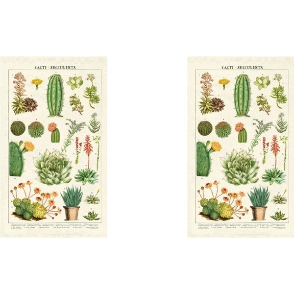 2x Cavallini Cotton Kitchen Tea Towel Absorbent Dish Cloth 48x80cm Succulents