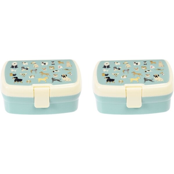 2x Rex London Kids/Children Plastic Lunch Box Rectangle 17x13cm Best In Show