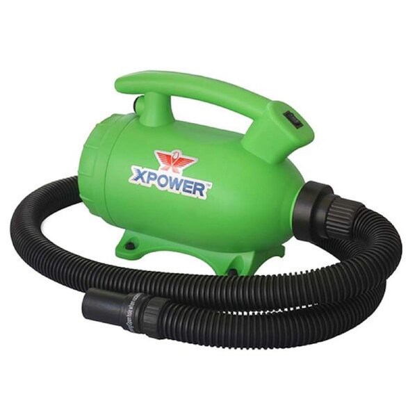XPOWER B-55 1000 Watt 2-in-1 Home Pet Dryer and Vacuum - Green
