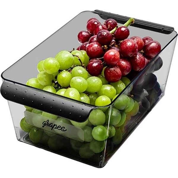 Madesmart Short Deep Bin Kitchen Fridge Organiser Rectangle 26x15cm Carbon