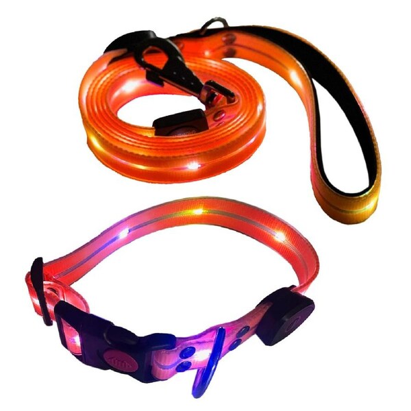 Flash Pet Leash Small - Rechargeable, Light Up Pet Leash and Collar