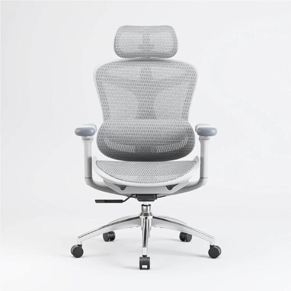 Sihoo DORO-C100 Grey Ergonomic Office Chair