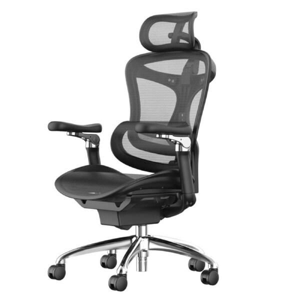 Sihoo A3 DORO-C300 Pro Ergonomic Office Chair