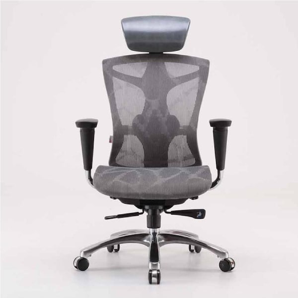 Sihoo V1 Ergonomic Office Chair