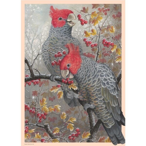 Brolly Books - Gang-Gang Cockatoos Puzzle 1000pc