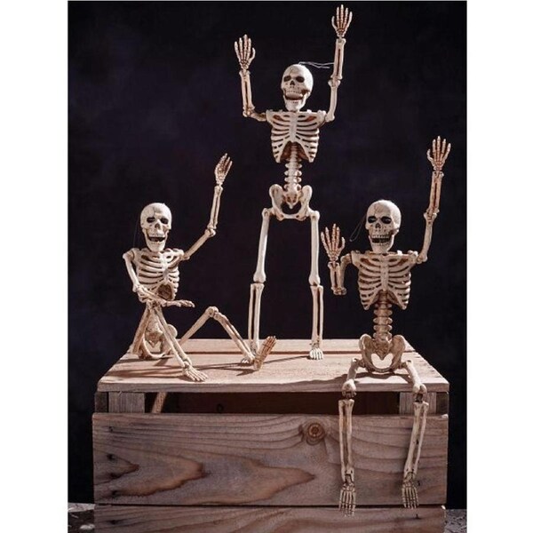 Posable Skeleton 36cm