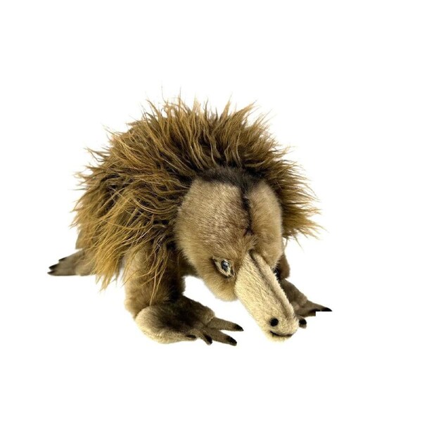 Bocchetta Plush Toys - Echidna - Harry 24cm