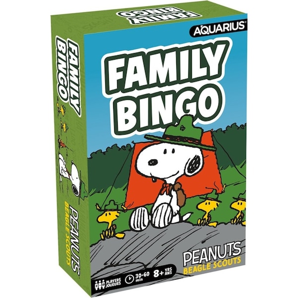 Aquarius Family Bingo Cards Kids Party Game Set Peanuts Beagle Scouts 8y+