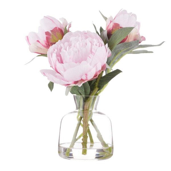 Rogue Peony Stem-Clear Glass Vase - Pink