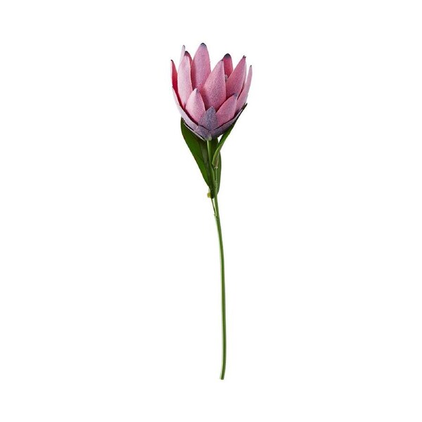 MyHouse Stem Protea Pink 20cm