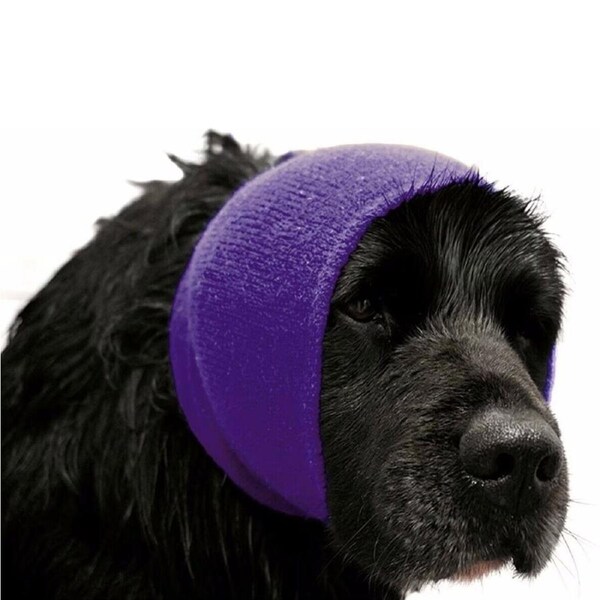 Purple Hoodie Pet Grooming