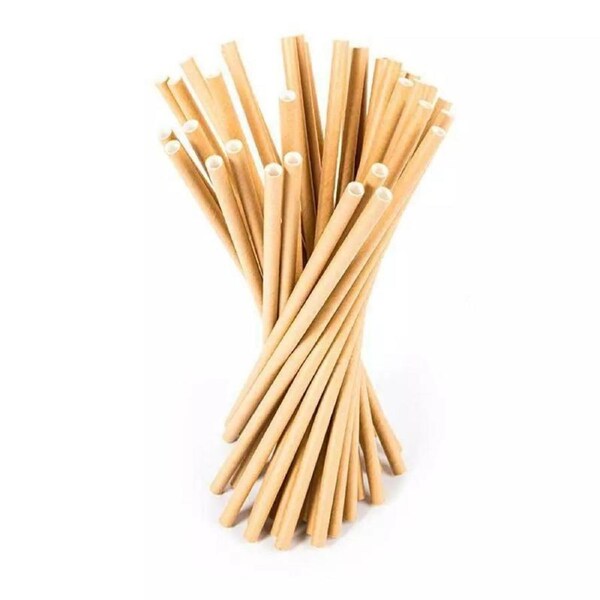 180PC Paper Straws Drinking Straw Birthday Party