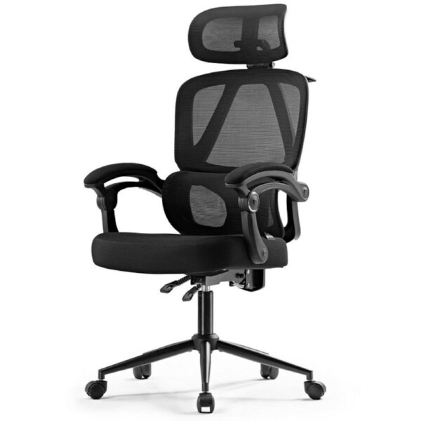 Eureka Nero Ergonomic Home/Office Chair - Black Safe & Durable, 3D Headrest [ERK-OC16-B]