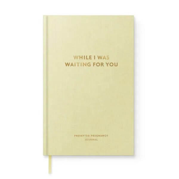 Hallmark Gifts - While I Was Waiting For You Pregnancy Prompt Journal