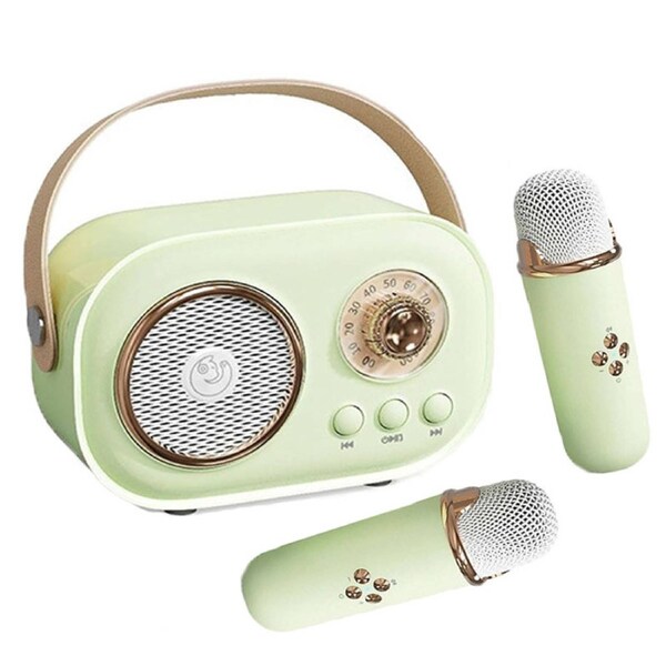 Catzon C20 Mini Karaoke Machine Retro Radio Bluetooth Speaker With 2 Wireless Microphone for Home Party-Green