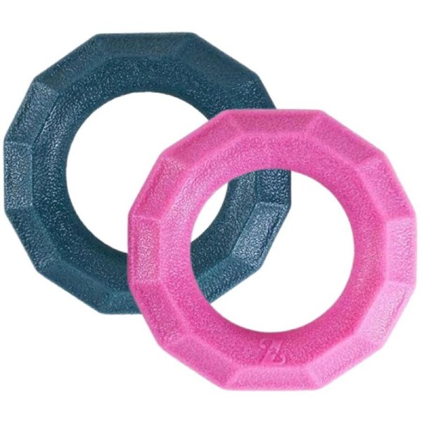 Zippy Paws ZippyTuff+ Dog Toy - Small Ring 2-Pack - Emerald & Magenta