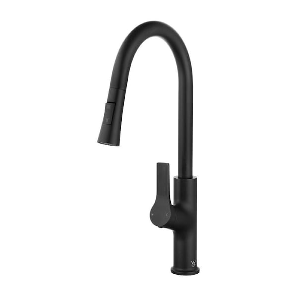 WELS Pull Out Kitchen Sink Tap Round Basin Mixer Faucet 2 Mode Black