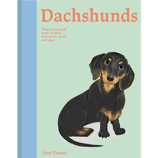 Dachshunds