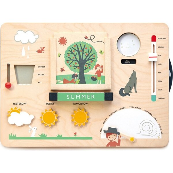 Tender Leaf Toys Wooden Weather Station Kids/Children 43x31cm Playset Toy 3+