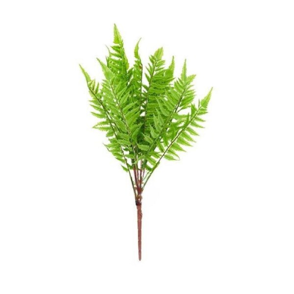 Artificial Fern
