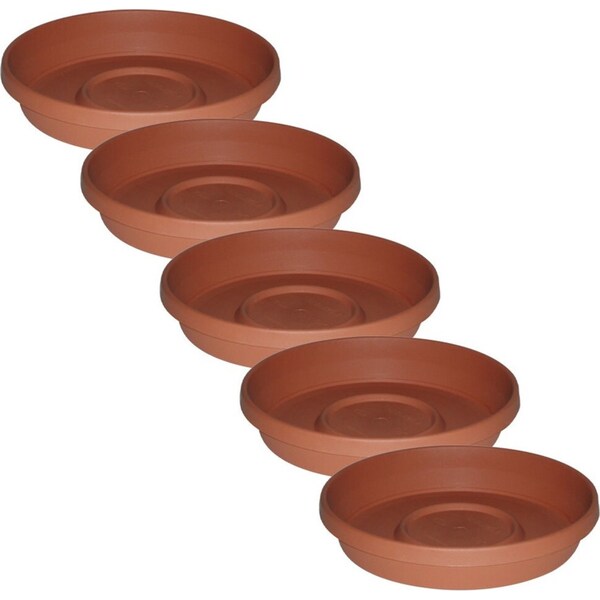 5x Homeleisure Planterra Planter Pot Saucer 250mm Terracotta Garden Decor