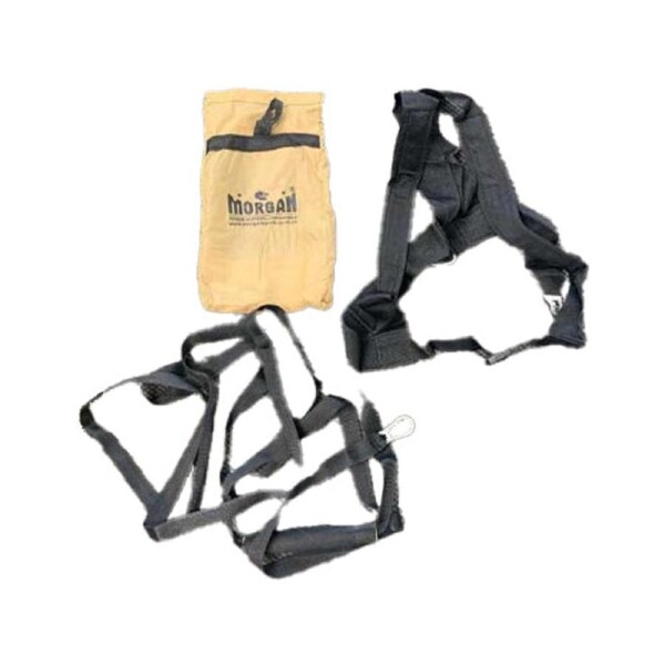 Morgan Power Resistor Harness Belt Long