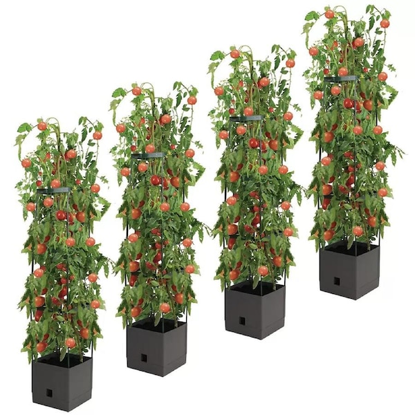 Greenlife Tomato Tower 3-Tier Growing Frame 4 Pack - Sturdy Plant Support for