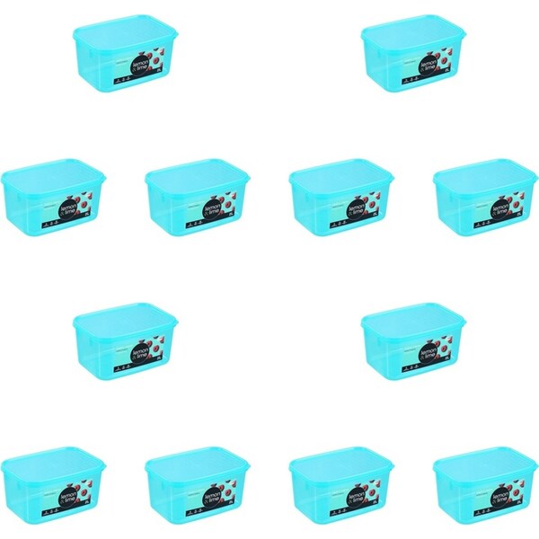 12pc Lemon & Lime 2L Simple Fresh Food Storage Reusable Container Assort