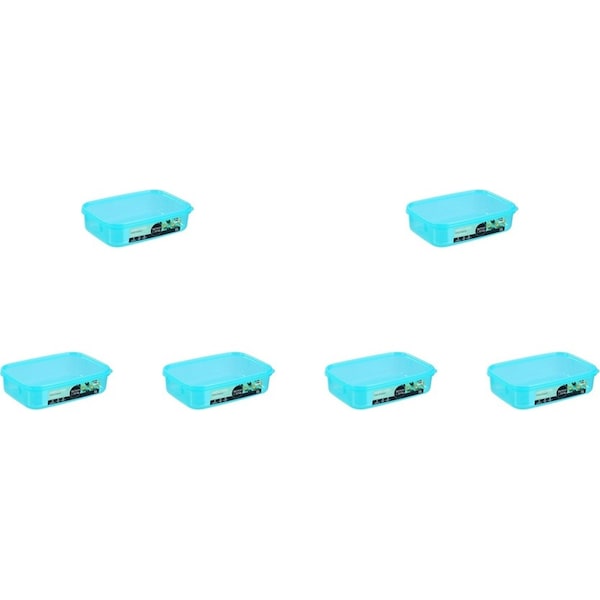 60pc Lemon & Lime 1L Simple Fresh Food Storage Reusable Container Assort