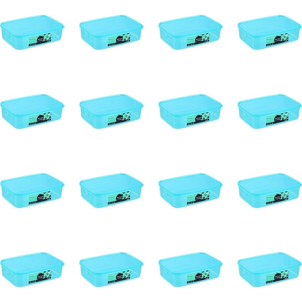 32pc Lemon & Lime 3.5L Simple Fresh Food Storage Reusable Container Assorted